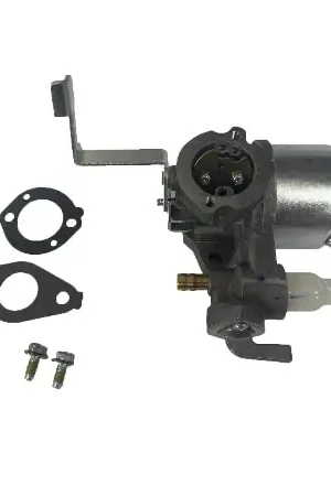 (796447) Briggs & Stratton Carburetor Instant Buy