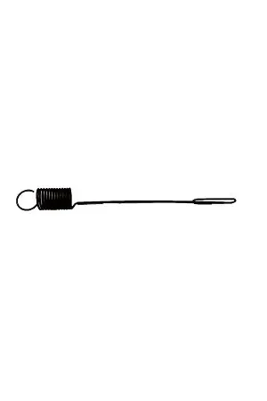 (691291) Governor Spring Today Only