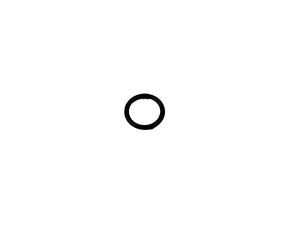 Trusted Brand (604369) O-RING SCKM-670D2016
