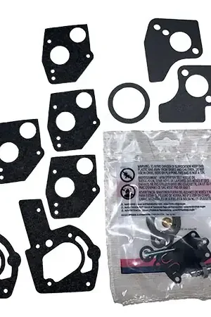 (495606) Briggs KIT-CARB OVERHAUL Buy Direct