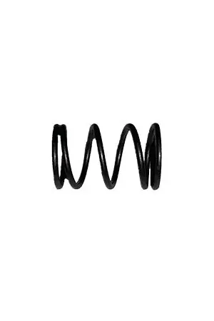 (7JD-E1815-00) YAMAHA SPRING, VALVE Today Only