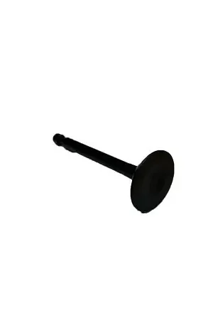 (7JD-E2111-00) YAMAHA VALVE, INTAKE Limited Offer