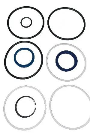 Save Now (LSP2001-08000-999) CYLINDER SEAL KIT