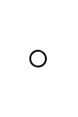 Express Delivery (9901-19X2.65) O-Ring M19x2.65