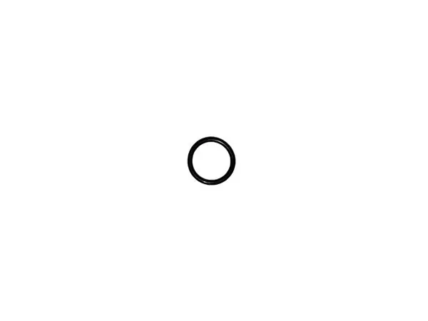 Express Delivery (9901-19X2.65) O-Ring M19x2.65