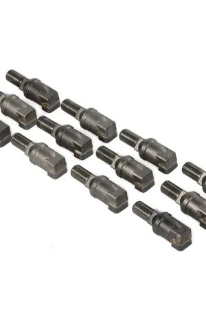 12 Pack Standard Series Stump Grinder Replacement Teeth Brand New