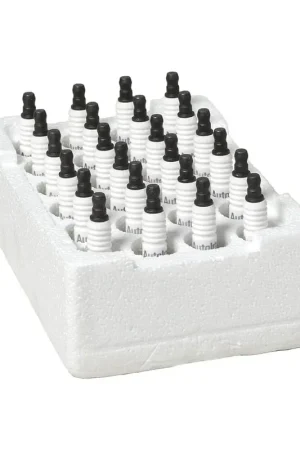Clearance Autolite - 255BP - Shop Pack of 24 Small Engine Spark Plugs