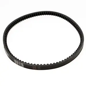 Authentic Earthquake - 24021 - Belt 13X785La