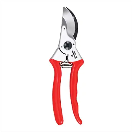 Corona - BP6250 - 8-1/2" Bypass Hand Pruner - Model BP6250 Big Sale