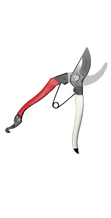 Today Only Spyder - 40012 - Phoenix 3/4" Professional Hand Pruner