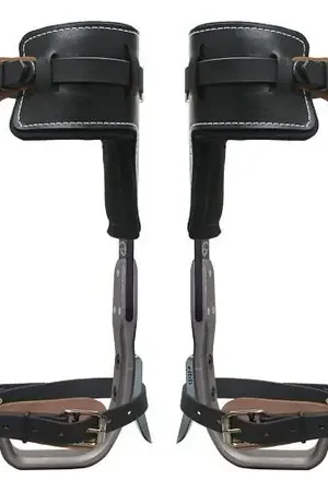 Get Yours Spyder - 91226 - Tree 2 5/8" CTB Tree Climbing Kit w/ Straps & T Pads