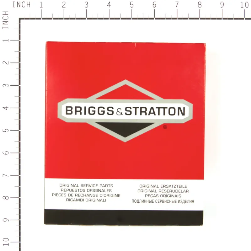 Briggs & Stratton - 555699 - PANEL Save Now
