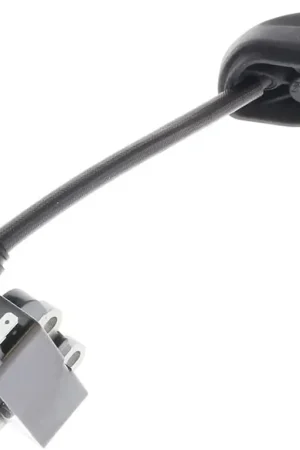 While Supplies Last Ryobi - 290178032 - Ignition Module for RY25AXB Blower