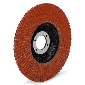 Final Sale Ryobi - AG45062 - Abrasive Mop Disc for AG450, AG451